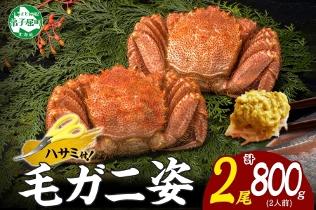 カニ 蟹 毛蟹 2尾 計800g前後 食べ方ガイド・専用ハサミ付 カニ かに 蟹 海鮮 ボイル カニ 蟹 海鮮  魚介 北海道 3357