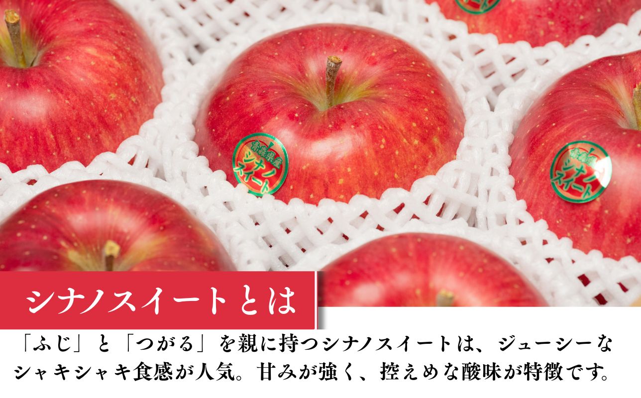 ≪10～12月発送≫ 完熟りんご  シナノスイート 約3kg 贈答用【 夢ファクトリー】 青森県産 キラ農法【hi-0008-020】  