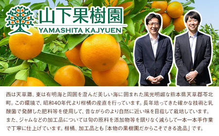 ジャム 詰め合わせ みかん 天草晩柑 4本セット|山下果樹園
