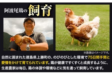 阿波尾鶏 鶏肉 もも肉 むね肉 食べ比べ セット 500g × 8パック 計4kg 岸農園 《30日以内に出荷予定(土日祝除く)》鶏肉 もも肉 むね肉 お肉 鳥肉 とり肉 阿波尾鶏 地鶏 大容量 小分