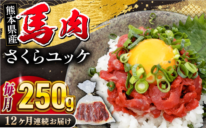 【全12回定期便】 馬肉さくらユッケ 250g ( 50g × 5 ) 馬刺し 【五右衛門フーズ】 [YBZ034]