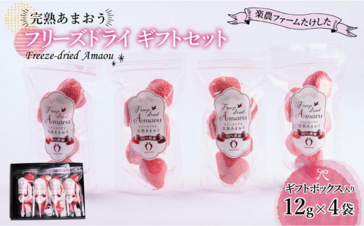
            形も味もそのまま楽しめる！完熟あまおう【フリーズドライギフトセット】 (12g×4袋)【あまおう 食品 あまおう フルーツ あまおう 果物 苺くだもの いちご 食品 イチゴ 人気 あまおう おすすめ 送料無料 福岡県 大川市 AA043】
          
