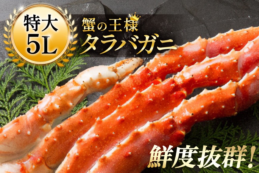 本 タラバガニ 脚 ボイル済 約1kg 極太5Lサイズ [カネダイ 宮城県 気仙沼市 20564323] カニ かに 蟹 たらばがに たらば蟹 タラバ蟹 たらば タラバ ボイル