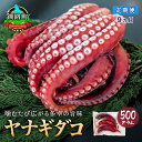 【ふるさと納税】【定期便9ヶ月】ヤナギダコ500g【産地直送】プリプリ食感！釧路町昆布森産 ヤナギダコ｜噛むたびに広がる多幸の旨味 お刺身 鍋 煮物に最適 栄養満点 贈答用 にも最適 漁師直送 鮮度抜群 タコ 蛸 北海道 冷凍 釧路町 釧路超 特産品