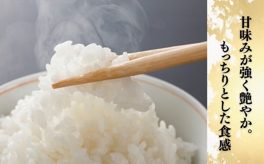 ＜6ヵ月定期便＞【令和7年産】 お米マイスターセレクト茨城産コシヒカリ(精米10kg) | 茨城県 龍ケ崎市 お米 ごはん 白米 ご飯 コシヒカリ お米マイスター 厳選米 人気 農家直送 産地直送 精