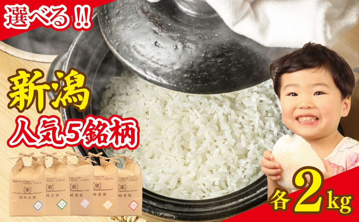 
            【先行予約】 令和7年産 コシヒカリ 2kg 選べる 5品種 新米 白米 米 こしひかり こしいぶき ミルキークイーン つきあかり にじのきらめき こめ ごはん おにぎり お弁当 特別栽培米 農家直送 産地直送 ふるさと納税 姉﨑農園 新潟産 新潟県 新発田市 anezaki007 anezaki008 anesaki009 anezaki010 anezaki011
          