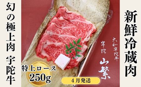 ＜2026年4月発送＞名産 認定肉 宇陀牛 国産 黒毛和牛 特上 ロース すき焼き 約250g チルド / 宇陀 山繁 ふるさと納税 牛肉 人気 ギフト 寄付 ランキング おすすめ グルメ 肉 返礼品 商品 送料無料 送料込