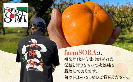 ≪先行予約≫ 数量限定 生産量日本一 愛知県豊橋産 次郎柿 秀品 贈り物にも！ 6.5kg 柿 甘柿 果物 フルーツ 10月 11月 愛知県 豊橋市 ビタミンC 高栄養価 食物繊維 旬をおとどけ