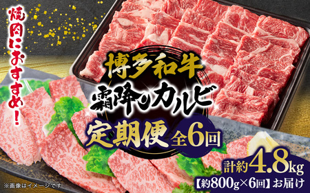 博多和牛 霜降りカルビ 全6回定期便 約800g×6回 072-T094