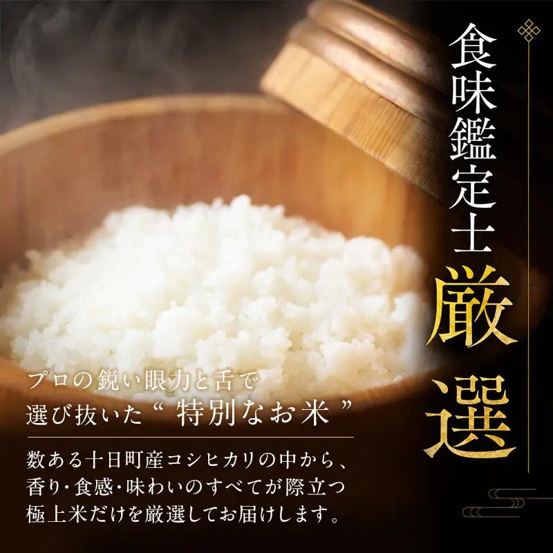 【令和8年産 先行予約】無洗米「3カ月定期便」食味鑑定士厳選！５ｋｇ×３回 白米 安心 安全 こだわり 米 コシヒカリ 定期 新潟県 十日町市