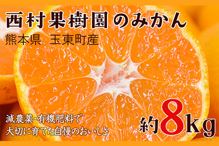 『西村果樹園』のみかん★約8kg(2S-2Lサイズ)《10月上旬-1月下旬頃出荷》 予約受付中 フルーツ 秋 旬★熊本県玉名郡玉東町 みかん 減農薬・有機肥料で育てた自慢のおいしさ！