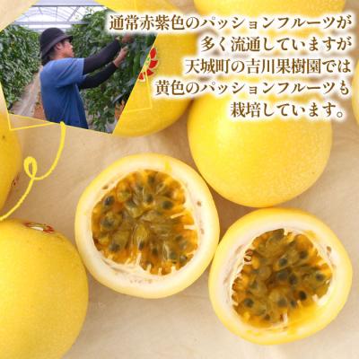 ふるさと納税 天城町 【2027年発送】徳之島 天城町 吉川果樹園 家庭用 イエロー パッション フルーツ 約2kg |  | 01