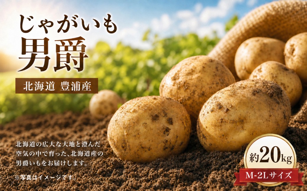 
                  【 ふるさとチョイス限定 】 【 先行予約 】 北海道 豊浦産 じゃがいも 男爵 約20kg M - 2L サイズ ジャガイモ イモ いも 芋 野菜 やさい 国産 男爵いも ポテトサラダ コロッケ マッシュポテト 【 2026年9月下旬～10月下旬発送 】
                