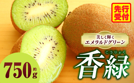 キウイ　美しい緑が鮮やかな　香緑 約750g | 果物 フルーツ 香緑 こうりょく キウイ グリーン フレッシュ ジューシー 香り 爽やか 旬の果物 人気 おすすめ 贈答 贈り物 青果物 糖度 香川県 三木町 |_mk165-018