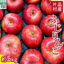 【ふるさと納税】尾瀬の郷 片品村産 ふじりんご 約5kg リンゴ 林檎 ふじ