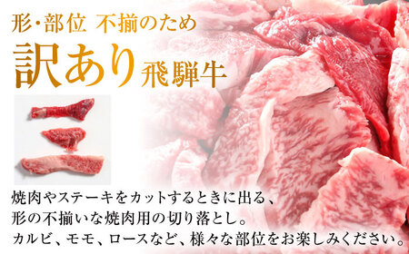 【訳あり】 飛騨牛 焼肉 切り落とし 1kg(500g×2パック) 多治見市 / 飛騨高山ミート MZ036 冷凍 真空パック ブランド和牛[THP027]