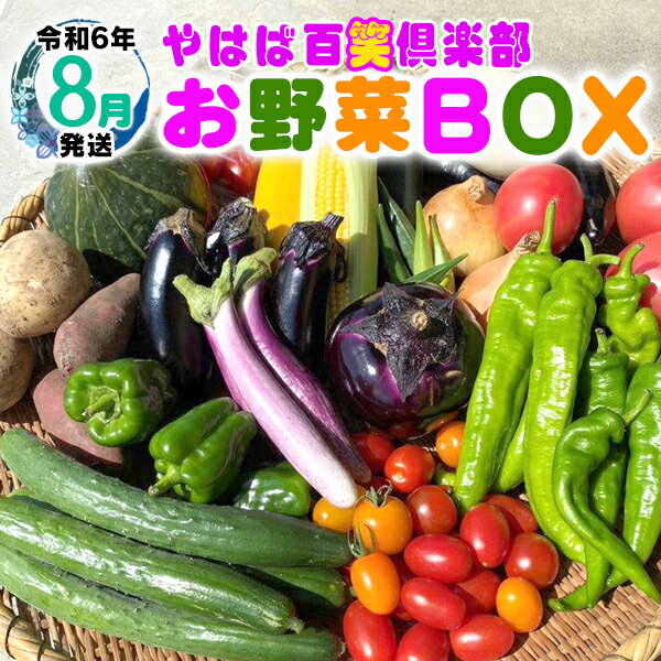 【ふるさと納税】数量限定　矢巾町産　夏野菜セット【10種】8月発送