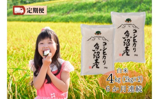 
                  【令和８年産新米予約】城内農産【お米定期便/全６回】南魚沼産コシヒカリ　白米４kg（２ｋｇ×２） ＜5割減農薬栽培米＞【定期便 銘柄米 ブランド米 精米 こしひかり コシヒカリ】【2026年9月下旬から1ヶ月以内に順次発送予定】
                
