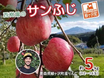 【先行予約】《特選》青森県産 りんご サンふじ 約5kg りんご【11月～発送】