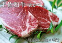 【ふるさと納税】土佐和牛特選ヒレ肉400g 特製ソース2種付【ステーキ用】 国産 和牛 土佐あかうし お肉 肉 ステーキ 赤身 ヒレ フィレ 故郷納税 ふるさとのうぜい 返礼品 高知県 高知 54000円