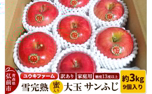 りんご 【 数量限定 】訳あり 雪完熟 家庭用 蜜入り 糖度13度以上 大玉 サンふじ 約3kg 9個入り