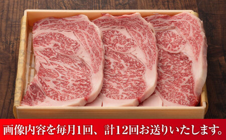 【全12回定期便】【数量限定】【GI認証】くまもとあか牛リブロースステーキ 約200g×3枚 / 菊陽町 あかうし 熊本県 肉 にく niku ブランド 旨み 【有限会社 三協畜産】[BHAS089]