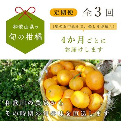 ふるさと納税 広川町 【発送月固定定期便】和歌山有田の季節の柑橘5kg フルーツ定期便 4か月ごと(1月5月9月)全3回 |  | 01