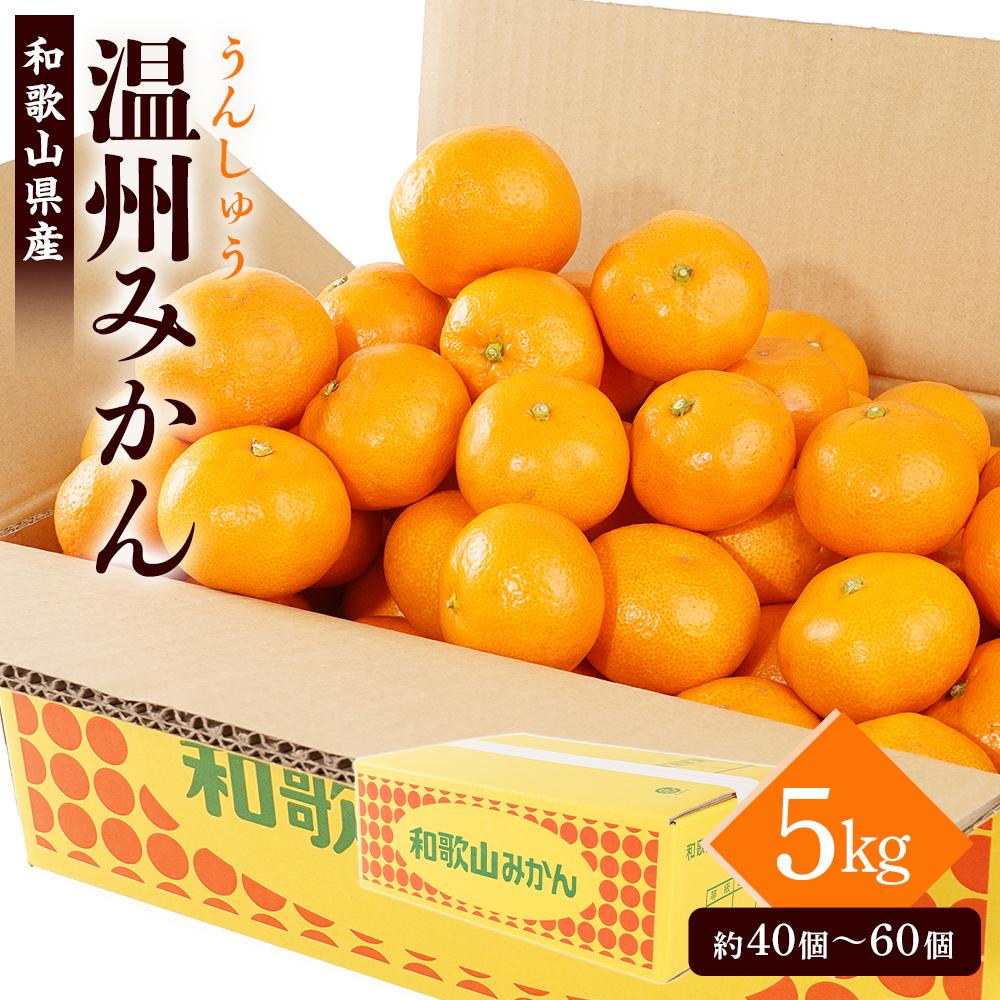 【ふるさと納税】［先行予約］［2026年11月初旬から11月末頃順次発送］ 和歌山県産温州みかん 約5kg（40個～60個）秀品 こだわり農家厳選！［KG31］ | みかん 蜜柑 フルーツ 果物 くだもの 食品 人気 おすすめ 送料無料 産地直送