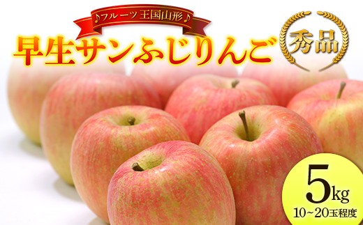 【先行予約 2026年度発送】♪フルーツ王国山形♪  早生サンふじりんご 秀品 5kg りんご リンゴ 林檎 デザート フルーツ 果物 くだもの 果実 食品 山形県 FSY-2559