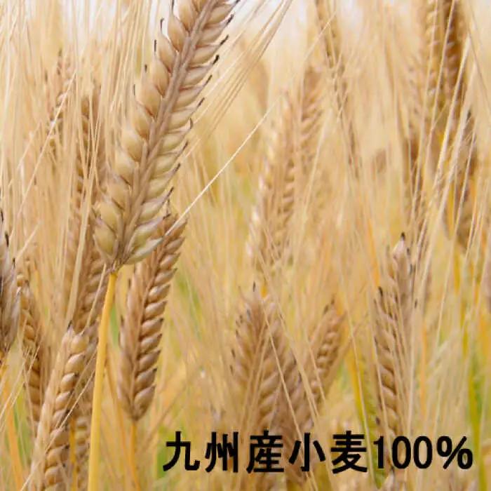 【 九州産小麦 100％】島原手延そうめん 1kg / そうめん 素麺 麺 乾麺 / 南島原市 / 野村屋 [SCS004]