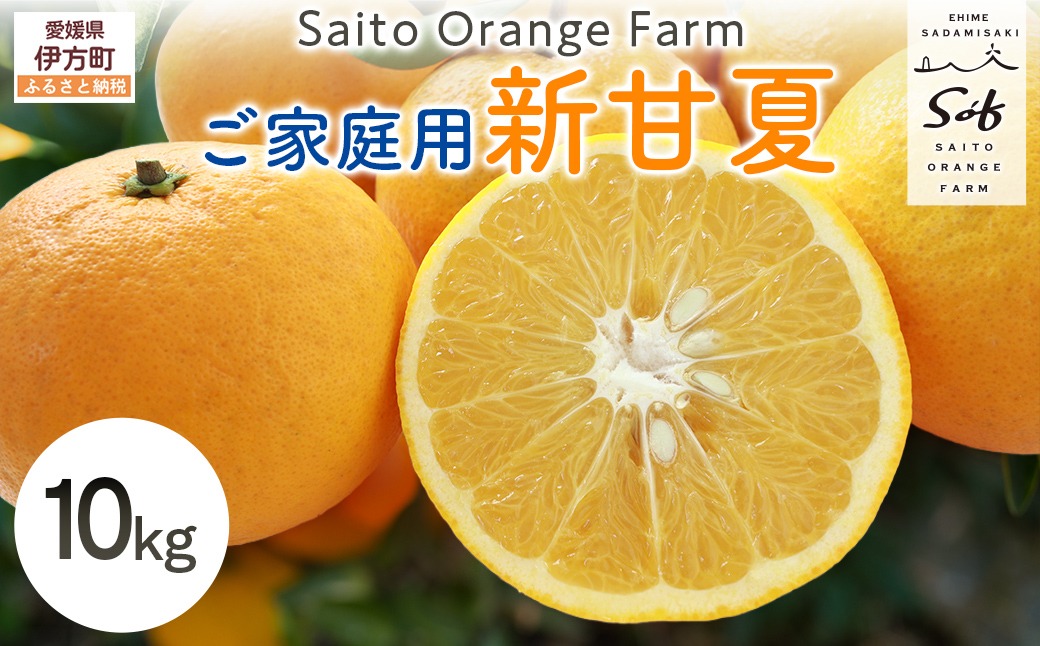 【先行予約】Saito Orange Farm ご家庭用 新甘夏10kg （2027年3月下旬頃より順次発送予定）IKTAQ030