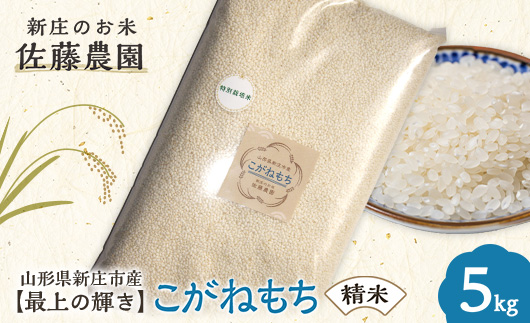 特別栽培米【最上の輝き】こがねもち 精米 5kg 米 お米 おこめ 山形県 新庄市 F3S-2531