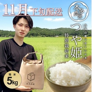 SB0717　11月下旬配送／令和7年産【精米】特別栽培米 つや姫　5kg 農家直送 HO