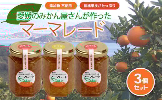 みかん マーマレード 150g×3 ｜  柑橘  みかん加工品 ギフト 無添加 マーマレード ジャム フルーツ 伊予柑 ブラッドオレンジ 夏みかん レモン 果物 くだもの 愛媛みかん  スイーツ 産地直送 ご当地 愛媛県 松山市 田那部青果