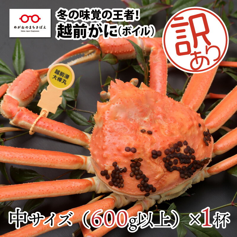 【ふるさと納税】【11月3日までの特別価格！】【11月中旬以降順次発送予定】北陸の冬の味覚の王者！越前がに（オス）「ずわいがに」訳あり 中サイズ 600g以上 × 1杯 [D-11012] / かに カニ ギフト グルメ 冷蔵 福井県