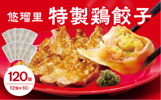 悠瑠里特製鶏餃子120個【宮崎市は餃子購入頻度ランキング ２年連続第１位_M293-004