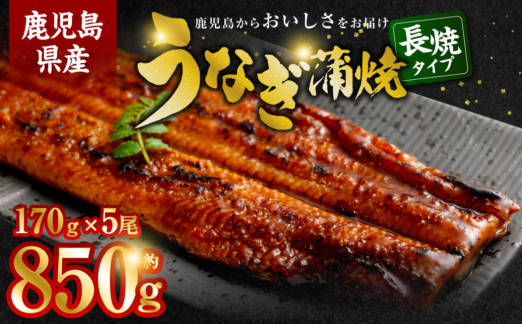 
DSR-101 鹿児島県産うなぎ蒲焼き 5尾(約170g)×5尾
