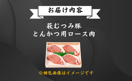 萩むつみ豚 トンカツ用ロース肉 120g×5枚
