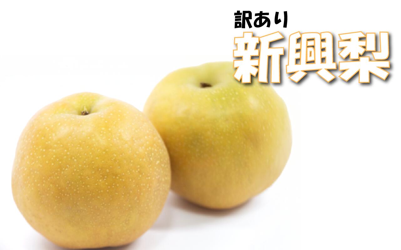 【ふるさと納税】（訳あり）中野農園 梨 ”新興梨” 3～5kg｜鳥取 岩美 梨 なし ナシ 赤梨 果物 フルーツ