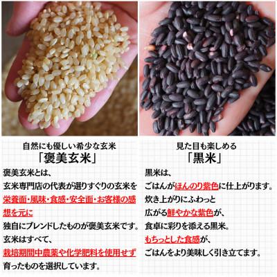 ふるさと納税 豊能町 【白米に混ぜて簡単!】国産 黒米ブレンド600g(300g×2袋入り) |  | 01