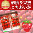 【ふるさと納税】【12月中旬から順次発送】関さんちのこだわりいちご 朝穫り完熟とちあいか 9～15粒×4パック【配送不可地域：離島】【1367041】