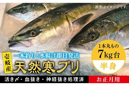 ※12/20-1/15配送【年末年始用】壱岐島産天然寒ブリ（一本丸ものサイズ7キロ台の半身ブロック） [JBS021] 95000 95000円