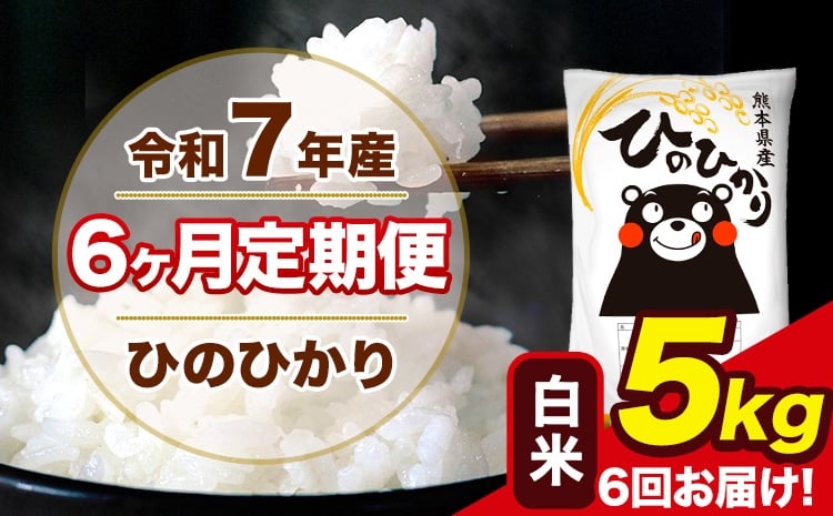 
                  令和7年産 【6ヶ月定期便】 ひのひかり 白米 5kg 5kg×1袋 計6回お届け 熊本県産 こめ コメ 白米 精米 荒尾市 ひの 米 定期 《お申込み翌月から出荷》
                