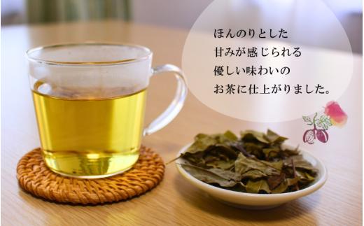 新芽のあけび茶 12g×3 / アケビ 岡山県 真庭市 しげや 【shigeya009-01】