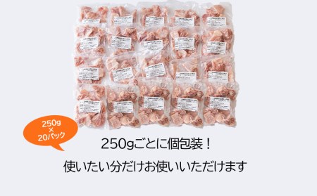 鶏 モモ 肉 鶏肉 小分け 若鶏 もも 鶏肉 切身 ほぐれやすくて 便利 20袋セット 合計5kg 鶏肉 カット済み パラパラ 冷凍 簡単 調理 宮崎県産 鶏肉 国産 送料無料 鶏肉