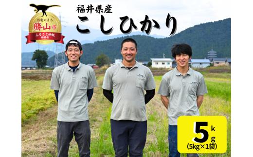 ［A-057001]　令和７年度産　コシヒカリ　5ｋｇ（５㎏×1袋）※精米