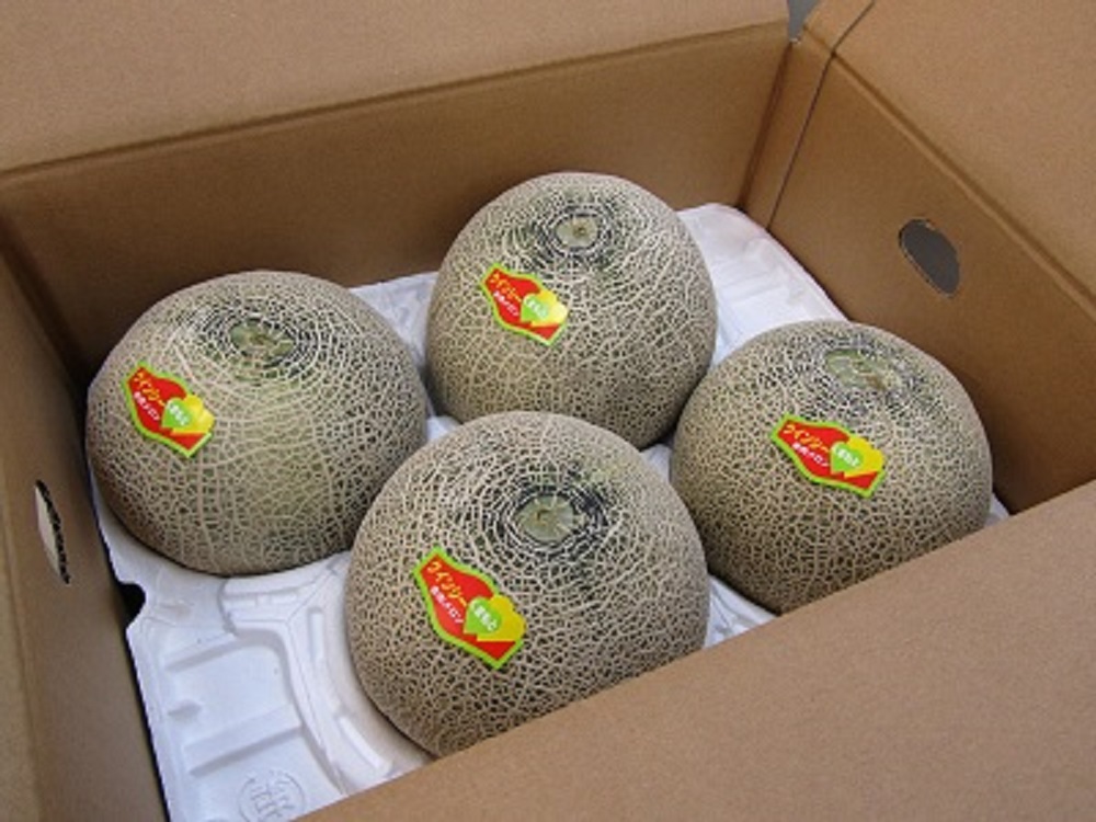 【先行予約】【2026年4月中旬〜5月中旬頃発送予定】クインシーメロン 4玉入り 合計約5kg