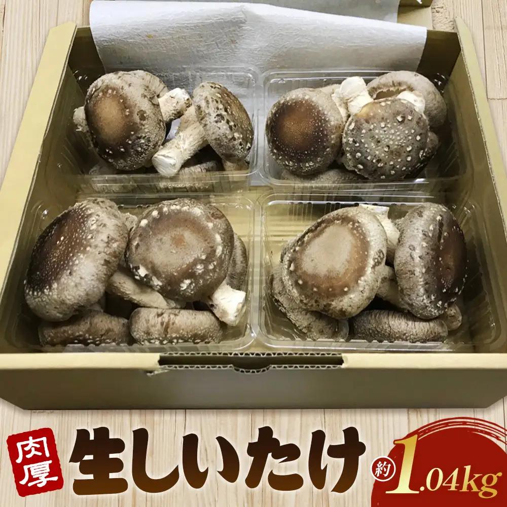 行田産こだわり生椎茸 約1.04kg No.004