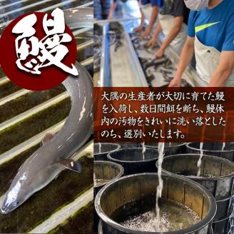 【３ヶ月定期便】鹿児島県大隅産うなぎ蒲焼5尾（750ｇ）【国産】毎月お届け  本格 うなぎ 鰻 蒲焼（鹿児島）