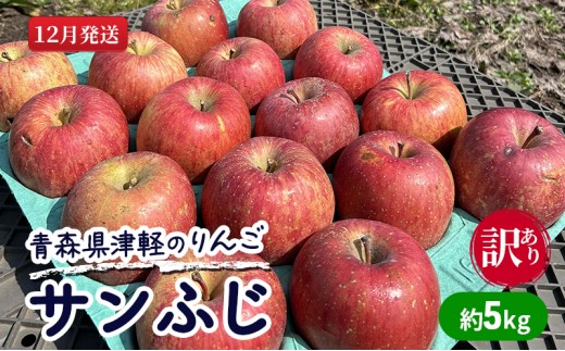 
                  【12月発送】【訳あり】青森県津軽のりんご「サンふじ」約5kg【里いちみfarm】
                